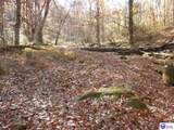 0 Benleo Road - Photo 6