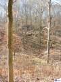 0 Benleo Road - Photo 7