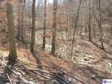 0 Benleo Road - Photo 8