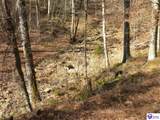 0 Benleo Road - Photo 9