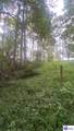 10120 Hodgenville Road - Photo 22