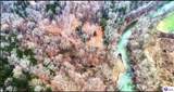 339 Akin Narrows-Pitman Creek Rd - Photo 1