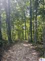 Lot 28 Forest View Ridge - Photo 8