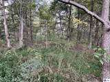 Tract 6 Mt Sherman Road - Photo 4