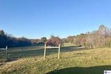 680 Hornback Farms Lane - Photo 49