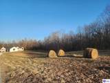 12458 Hodgenville Road - Photo 28