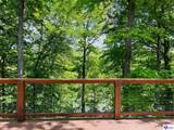 216 Peter Cave Heights - Photo 51
