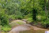 Tract 1 Cook Lane - Photo 12