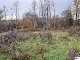 Tract 7 Cook Lane - Photo 4