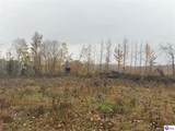 Tract 7 Cook Lane - Photo 5