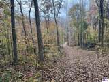 Tract 11 Cook Lane - Photo 15
