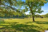 425 Tucker Lane - Photo 37