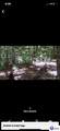 3445 Wards Road - Photo 90