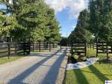 441 Knobview Drive - Photo 5