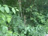 Lots 1-6 Millcreek Road - Photo 16