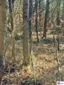 405 Robbin Lane - Photo 14