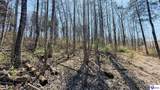 2358 Fry Ridge Road - Photo 10