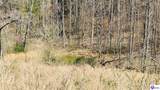 2358 Fry Ridge Road - Photo 19