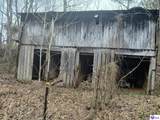 316 Old Sulphur Springs Road - Photo 63