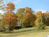 316 Old Sulphur Springs Road - Photo 67