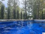 175 Falls Lane - Photo 79