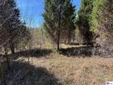243 Lm Basham Lane - Photo 11