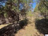 243 Lm Basham Lane - Photo 12