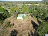 594 Mountain View Estates Road - Photo 4
