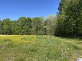  Post Tousey Road - Photo 46