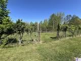 539 Brushy Road - Photo 18