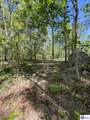 539 Brushy Road - Photo 31