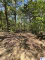 539 Brushy Road - Photo 34