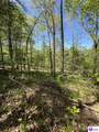 539 Brushy Road - Photo 42