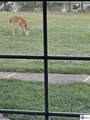 1277 Junction Road - Photo 80