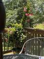 67 Cardinal Point Road - Photo 66