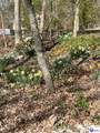 67 Cardinal Point Road - Photo 72