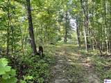 Tract G Sutzer Creek Road - Photo 26