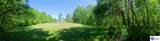 7985 Knifley Road - Photo 12