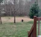 7985 Knifley Road - Photo 8