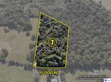 1041 Flood Road - Photo 1