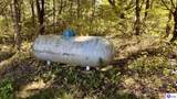 320 Hayes Cemetery Road - Photo 8