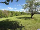 1235 Ira Wright Road - Photo 11