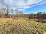 316 Old Sulphur Springs Road - Photo 56