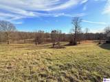 316 Old Sulphur Springs Road - Photo 57