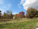 316 Old Sulphur Springs Road - Photo 62