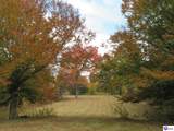 316 Old Sulphur Springs Road - Photo 66