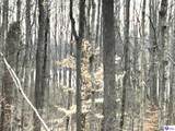 2525 Salem Lake Road - Photo 9