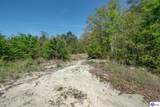 1543 Jim Clark Road - Photo 74