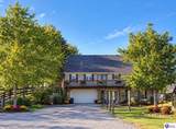 441 Knobview Drive - Photo 3