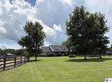 441 Knobview Drive - Photo 5